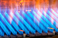 Breibhig gas fired boilers